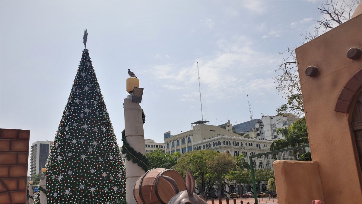 Actividad. Por noveno año consecutivo se realizará el encendido del árbol en este sitio.