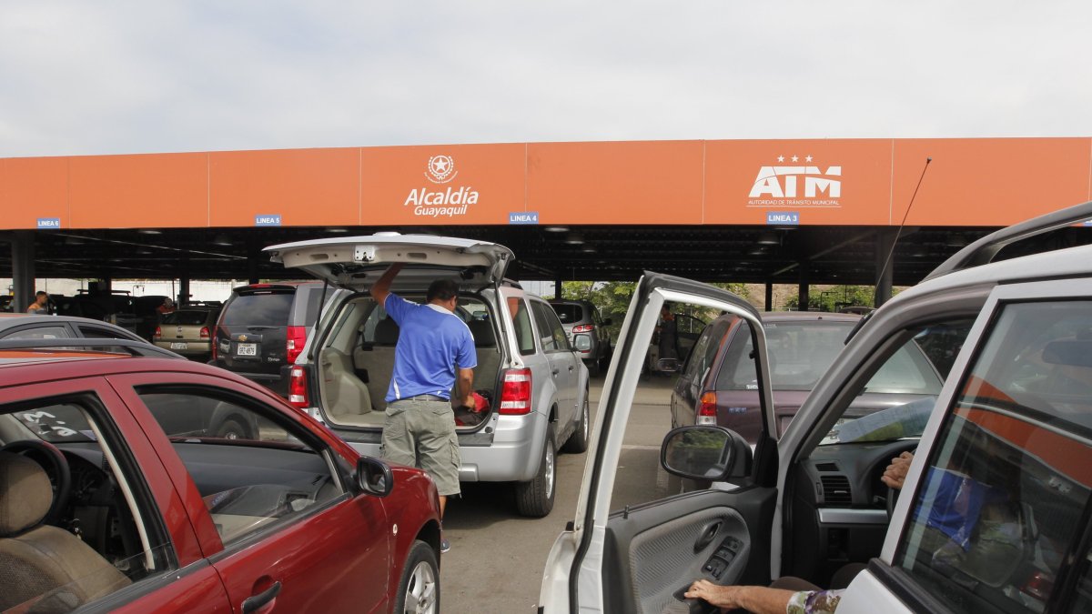 Hasta ahora no se copado el sistema de atención para matriculación vehicular.