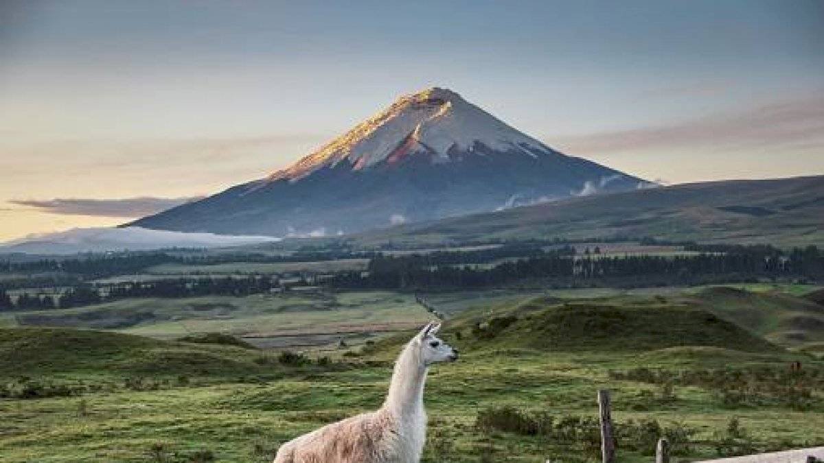 Los países andinos suscriben una carta por el desarrollo sostenible.