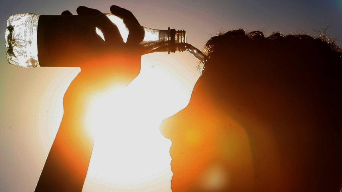 La región donde el calentamiento global fue más patente en 2020 fue el norte de Asia, en particular el Ártico siberiano.