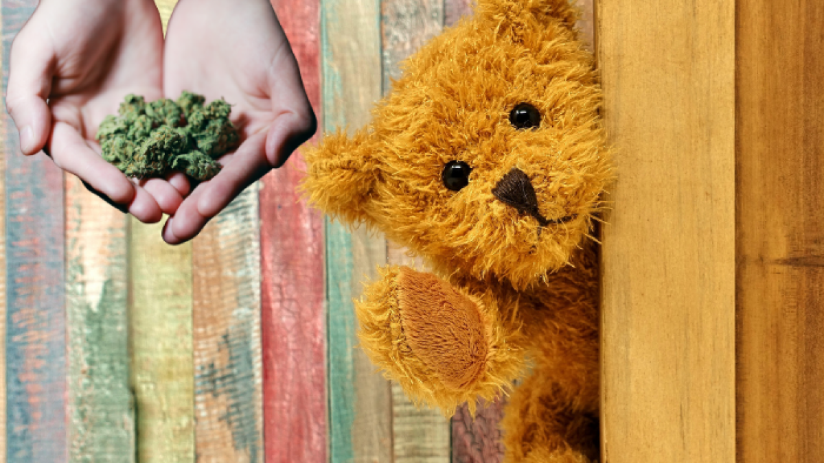 La organización se había dedicado a la industrialización de peluches (muñecos) a través de los cuales camuflaba las drogas ilícitas.