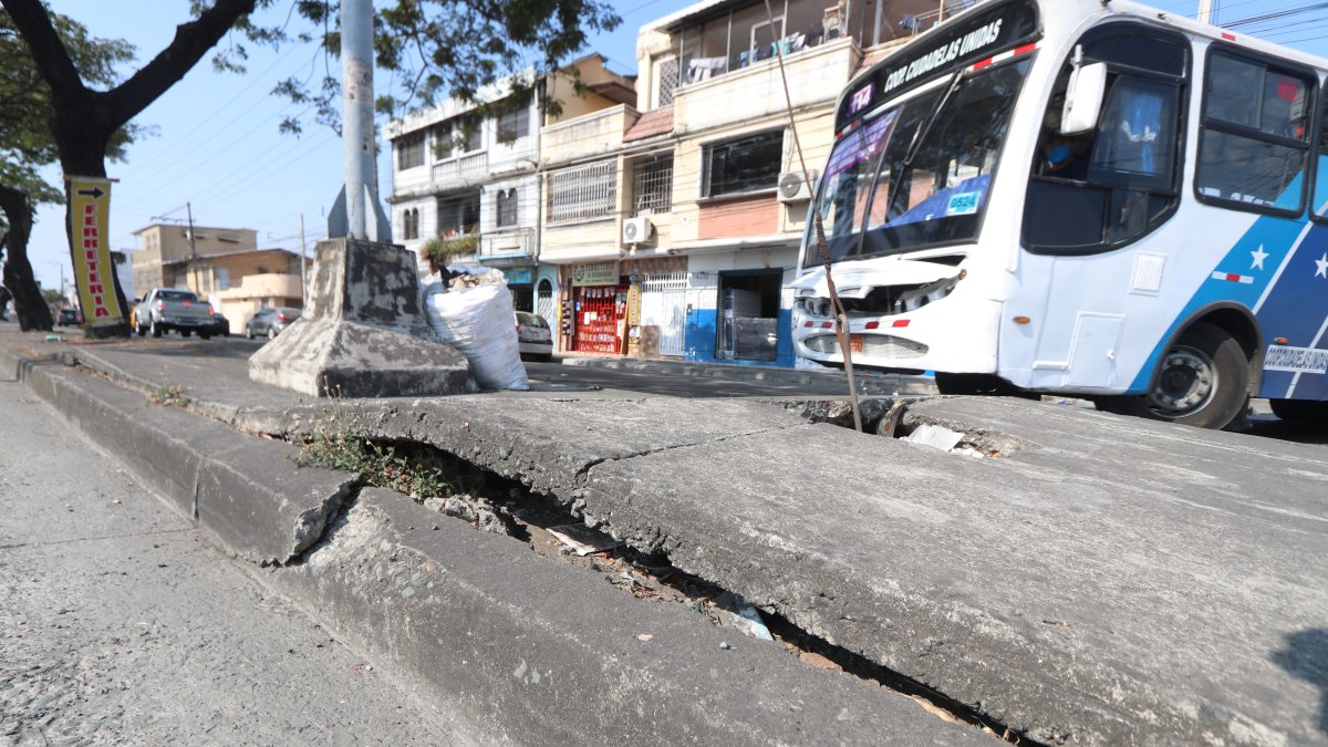 En la avenida Francisco de Orellana, de lado que conecta con este barrio, el suelo de los parterres está levantado en ciertos tramos. Las raíces de los árboles, en su mayoría, han generado ese daño.