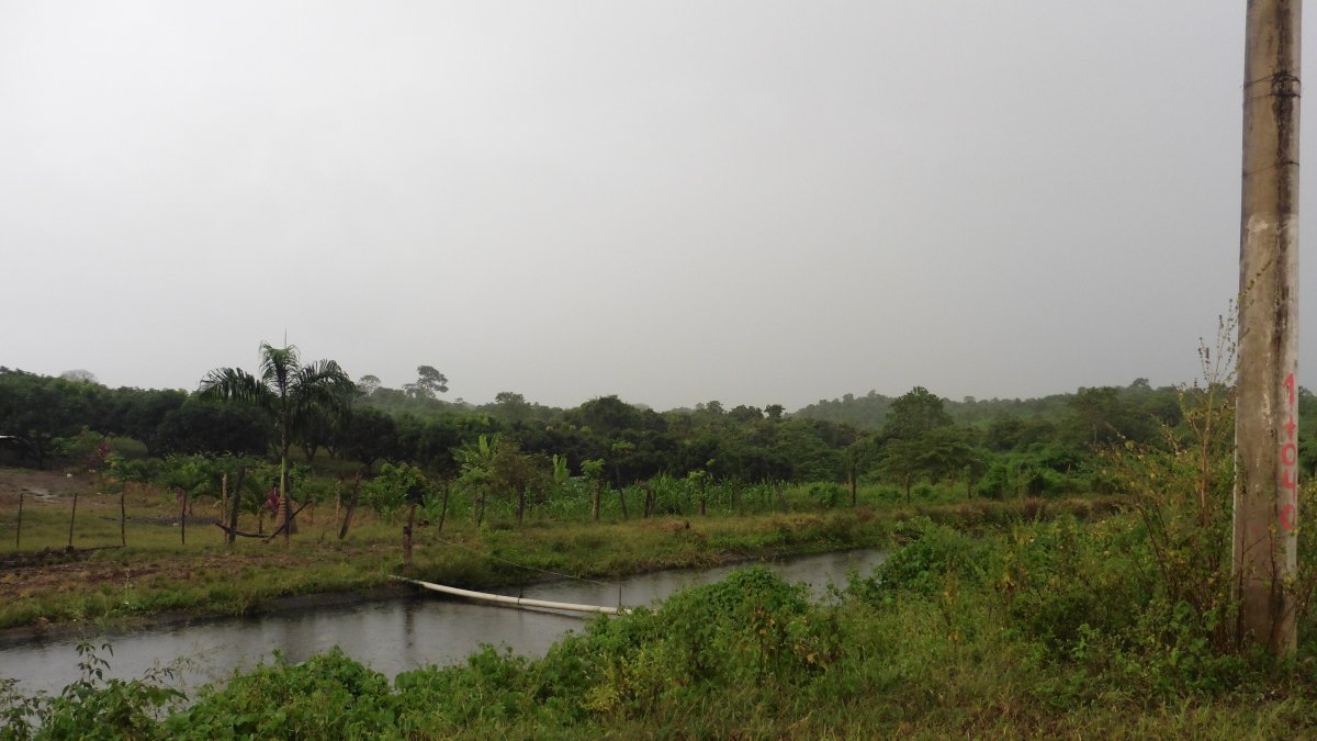 Previo a la construcción del Daular es necesario realizar una seri de estudios que confirmen que no se verá afectado el entorno.