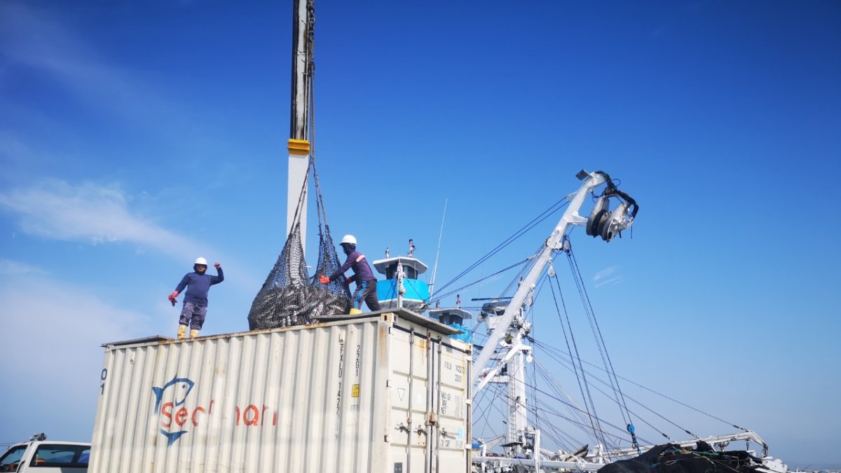 La mayor parte de la flota está en veda hasta enero de 2021