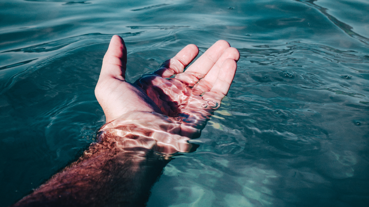 Su cotización comienza debido a la escasez de este líquido vital.