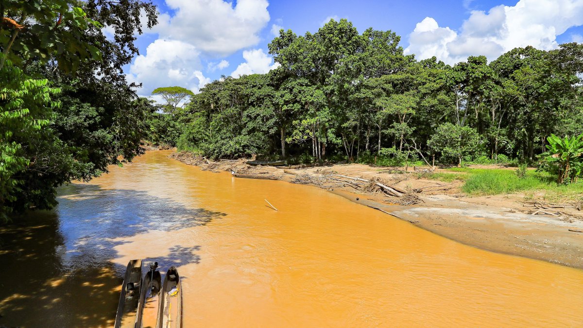 Entre 2000 y 2018, el avance de la deforestación en la región amazónica acumuló la pérdida de 513.016 kilómetros cuadrados de bosque nativo, un territorio equivalente a la superficie de España.
