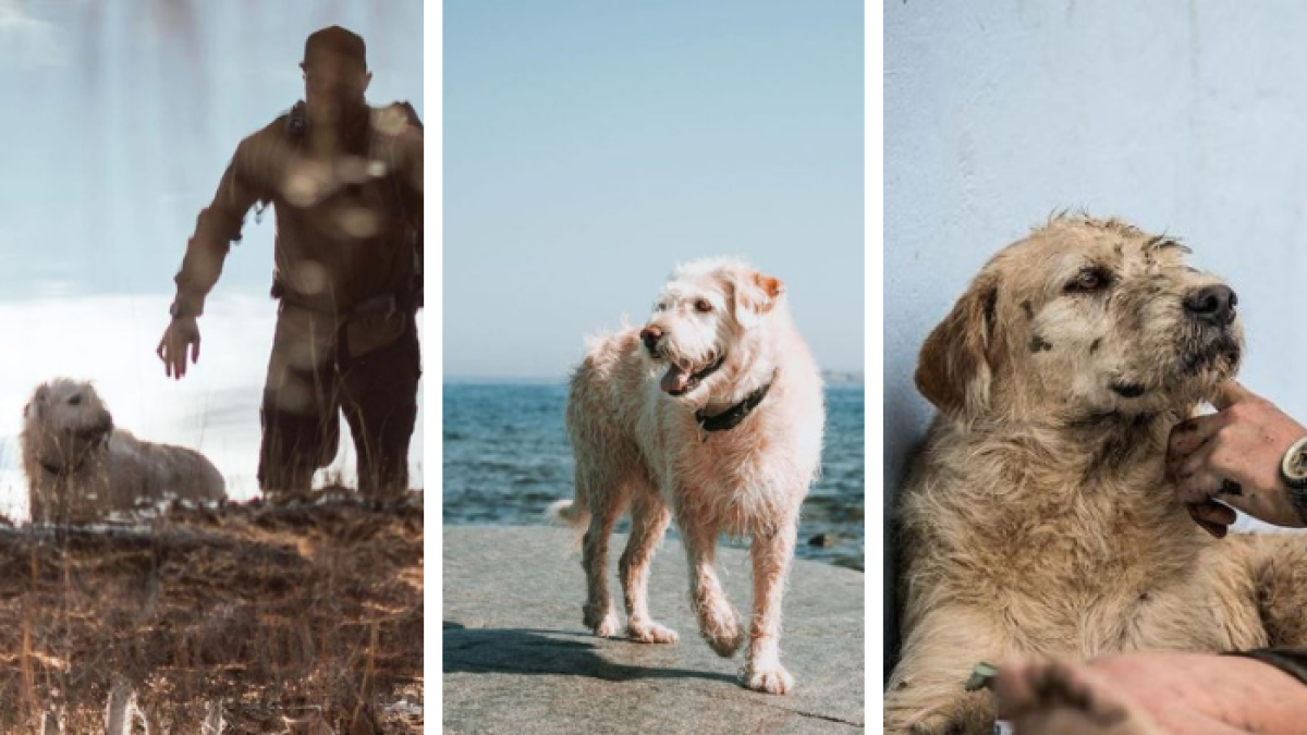 La vida de Arthur cambió en 2014 y hasta inspiró una película.