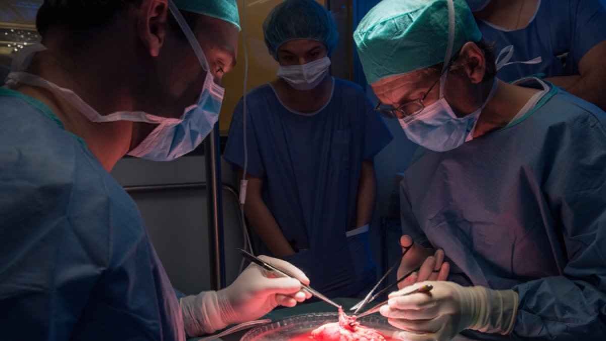 Una imagen de la intervención para el transplante de útero en Barcelona, España.