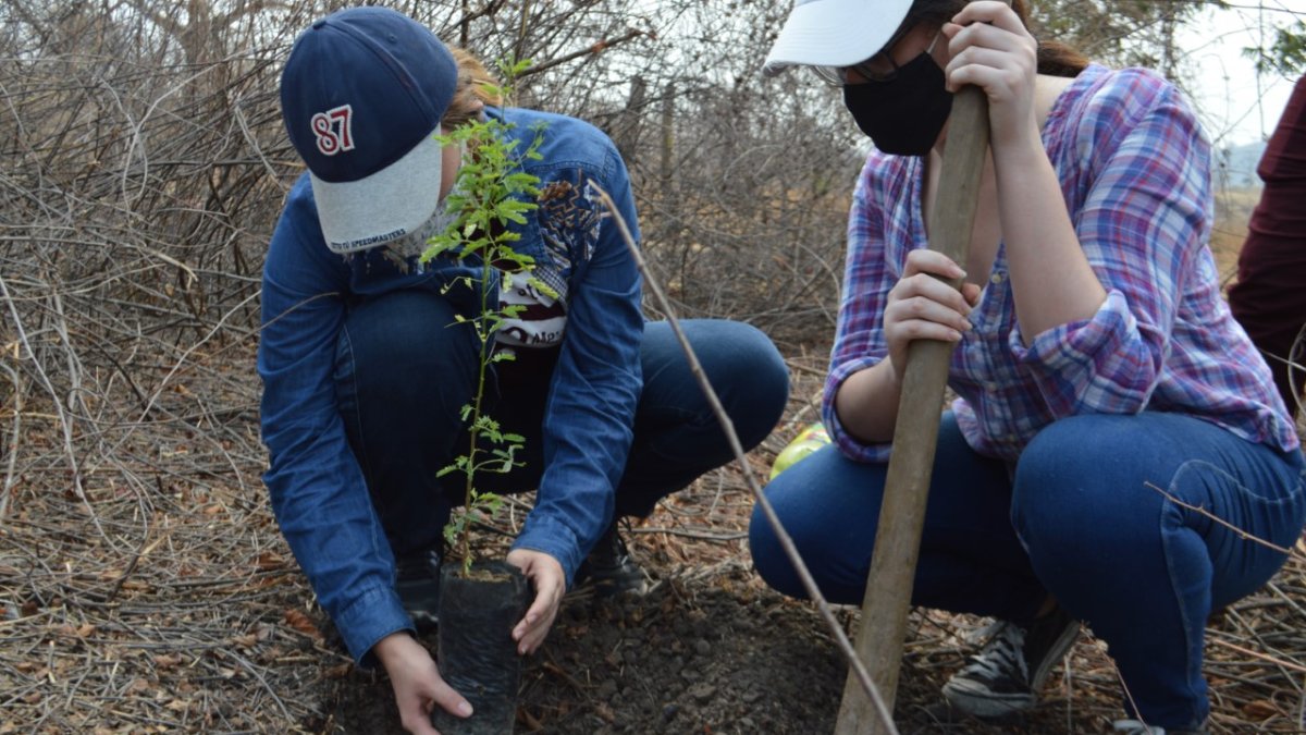 El trabajo lo realizaron en aproximadamente 40 hectáreas de bosque.