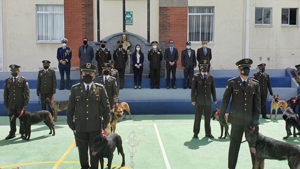 Donación. La Policía Antinarcóticos recibió de la Embajada de Estados Unidos 15 canes para la detección de sustancias ilícitas.