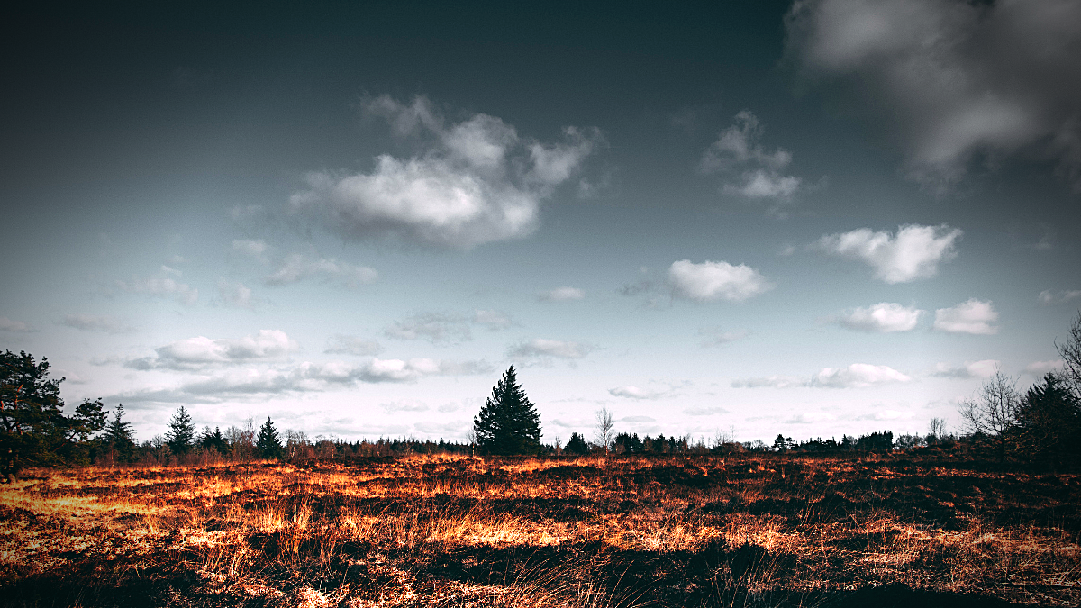 Sin aún haber resuelto la crisis sanitaria, el futuro inmediato no es nada halagüeño.