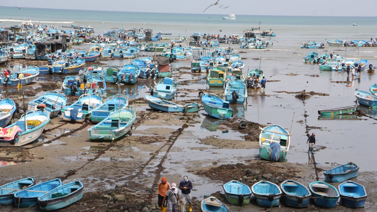 Hecho. Al menos cuatro veces en este año, en la provincia se ha reportado este fenómeno.