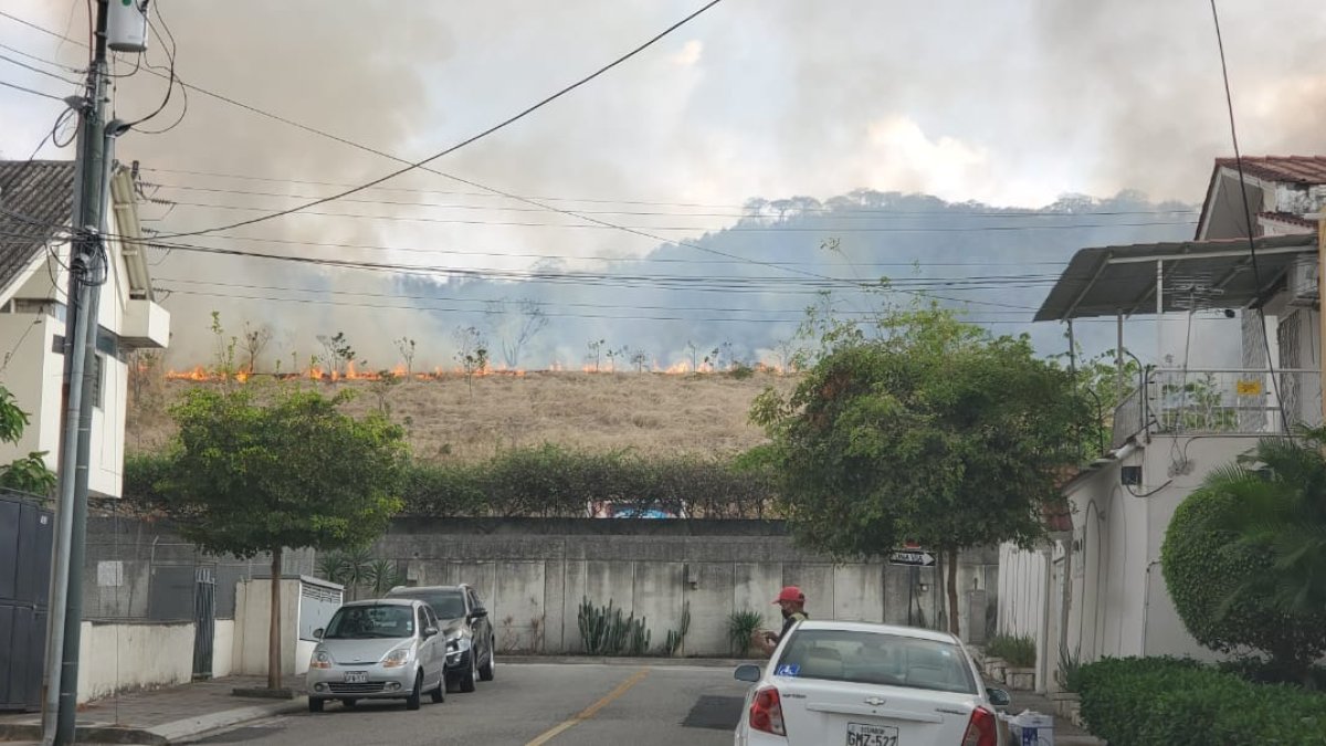 En el cerro de los Ceibos en la tarde de sábado 19 de diciembre los bomberos trabajan en apagar un incendio.