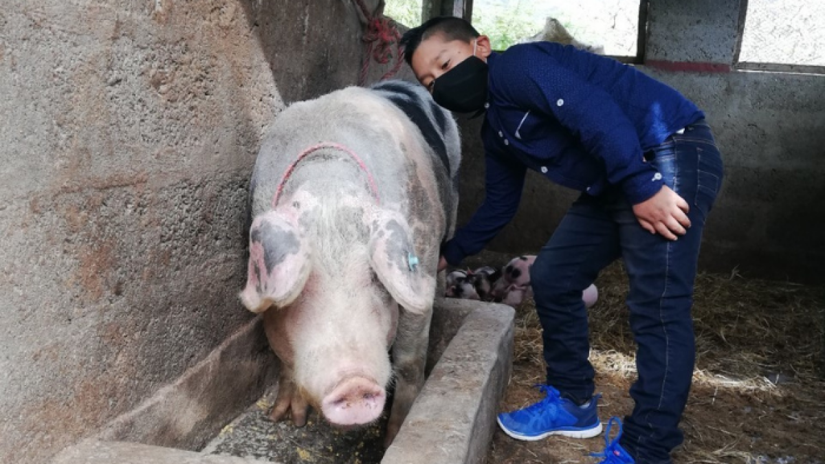 Juan Carlos Juca es el protagonismo de un viral que emocionó al país.