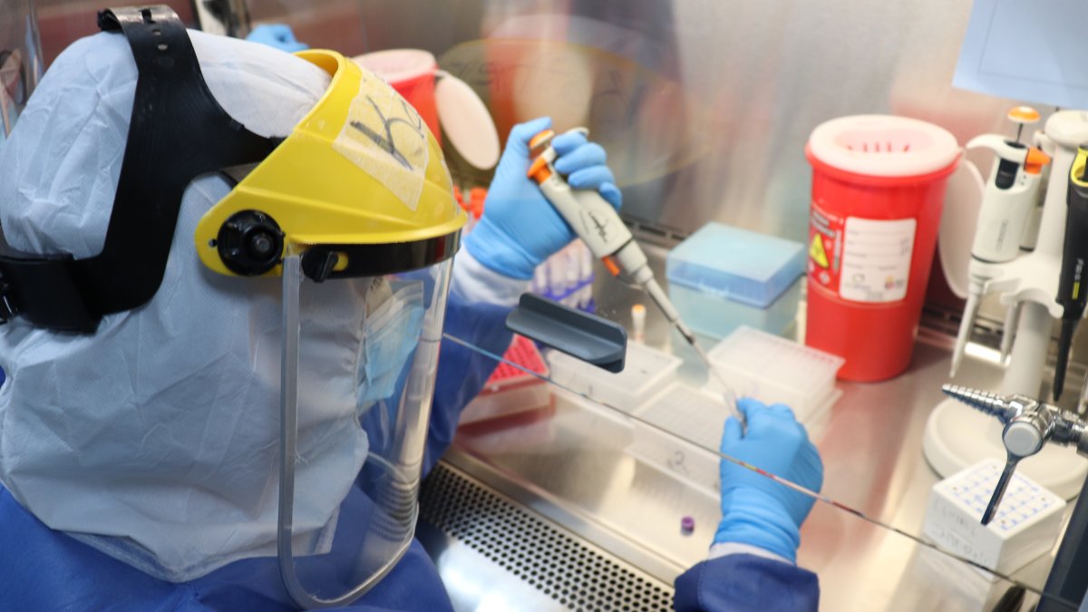 El UEESLab realiza pruebas diarias de diagnóstico y también realiza secuenciación del genoma de los virus detectados.