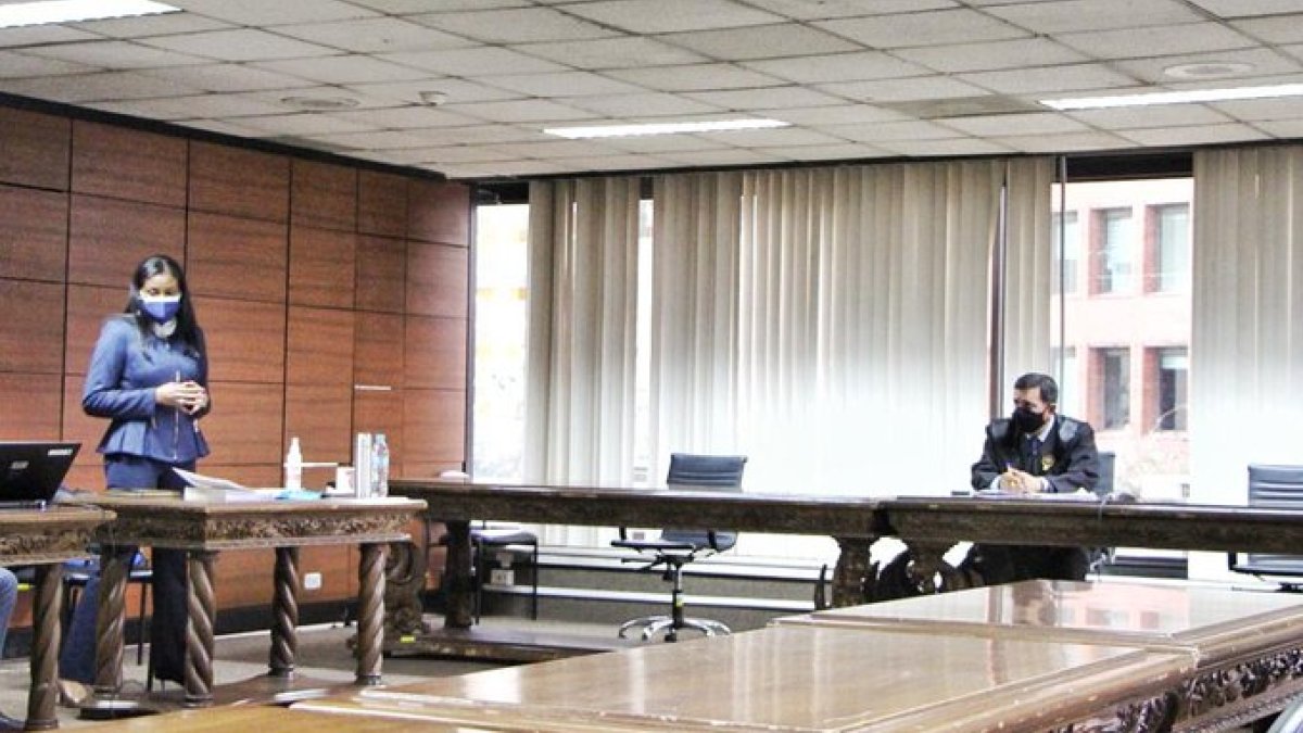 La fiscal Diana Salazar expuso en la Corte Nacional de Justicia los motivos para pedir la reactivación del caso.