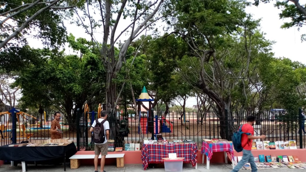 La feria se realiza al aire libre, en el parque central de la FAE.