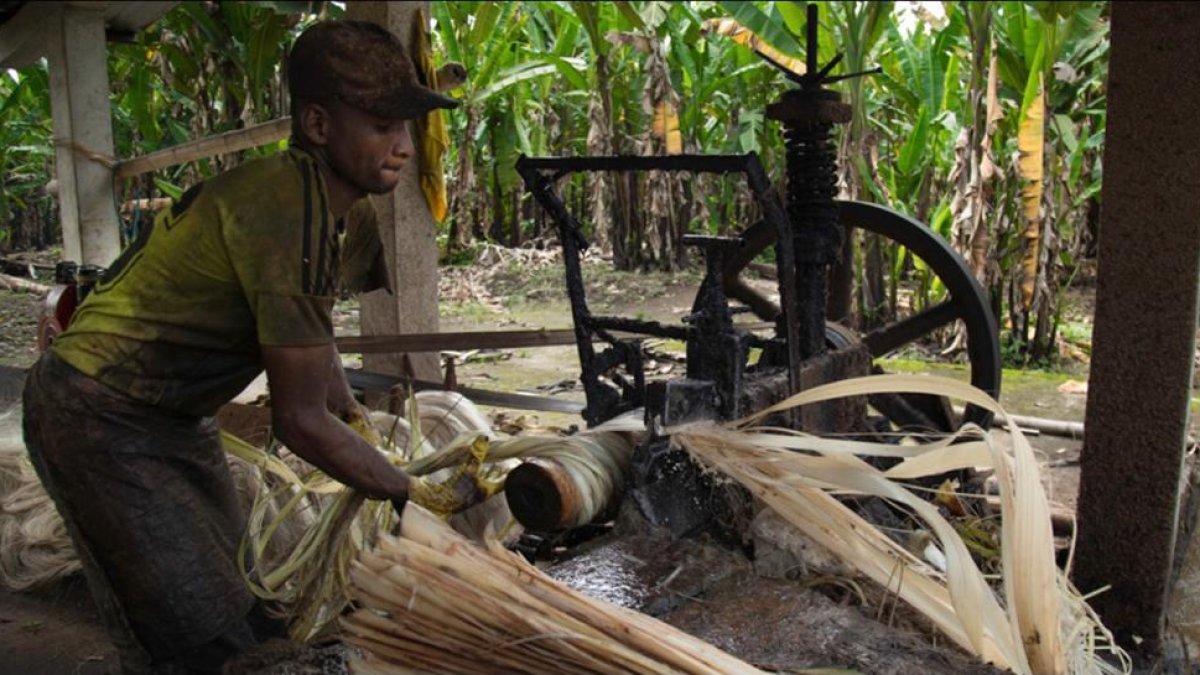123 trabajadores denunciaron un caso de esclavitud moderna.
