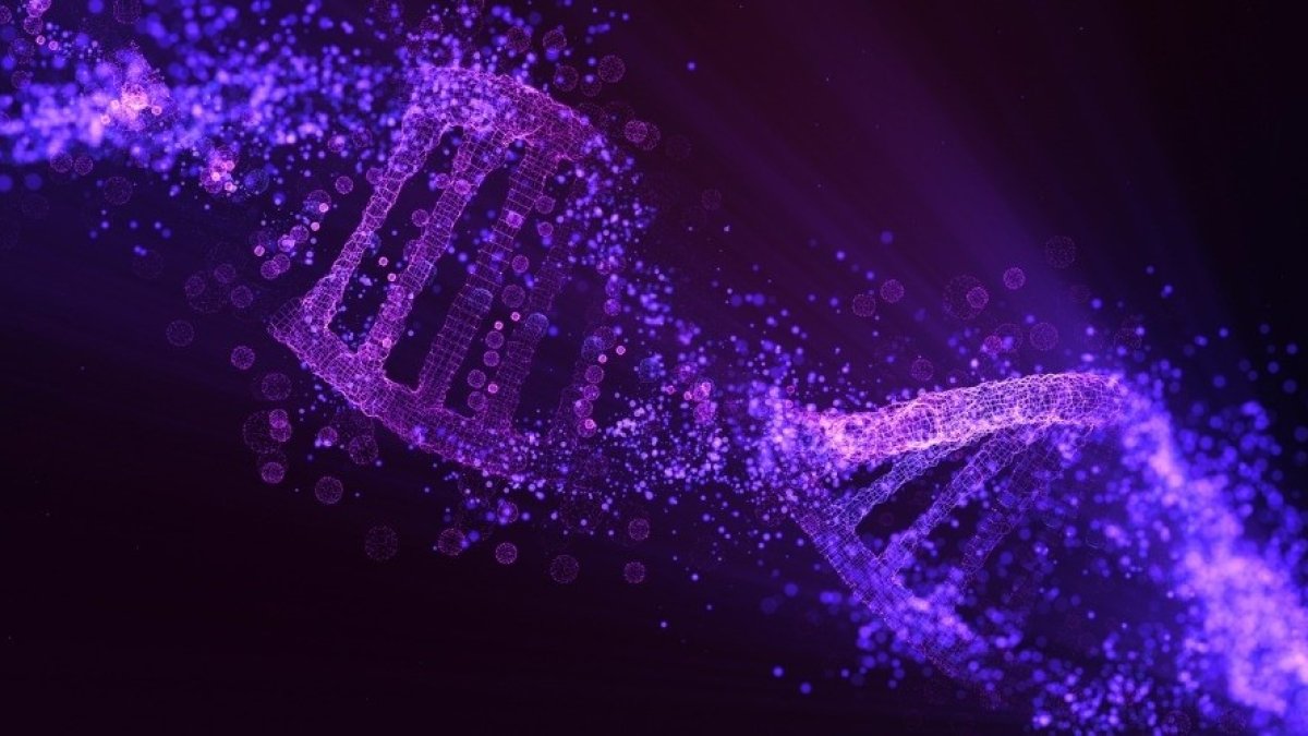 Imagen ilustrativa. ADN.