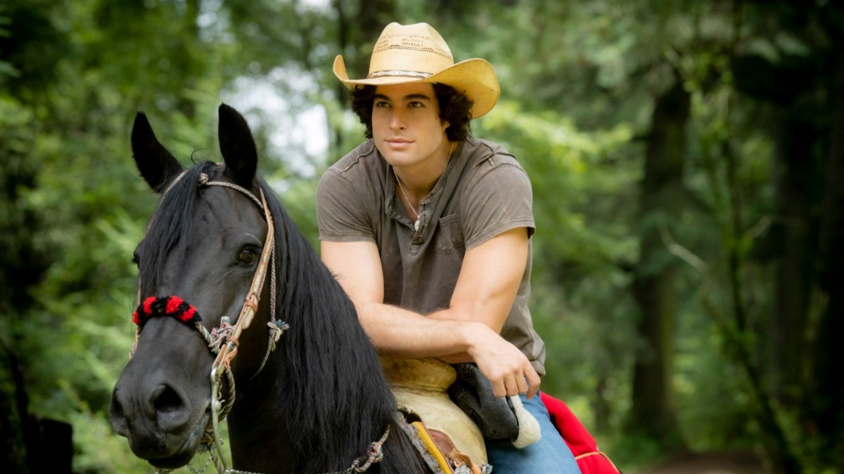 En la telenovela interpreta a Mateo Santos.