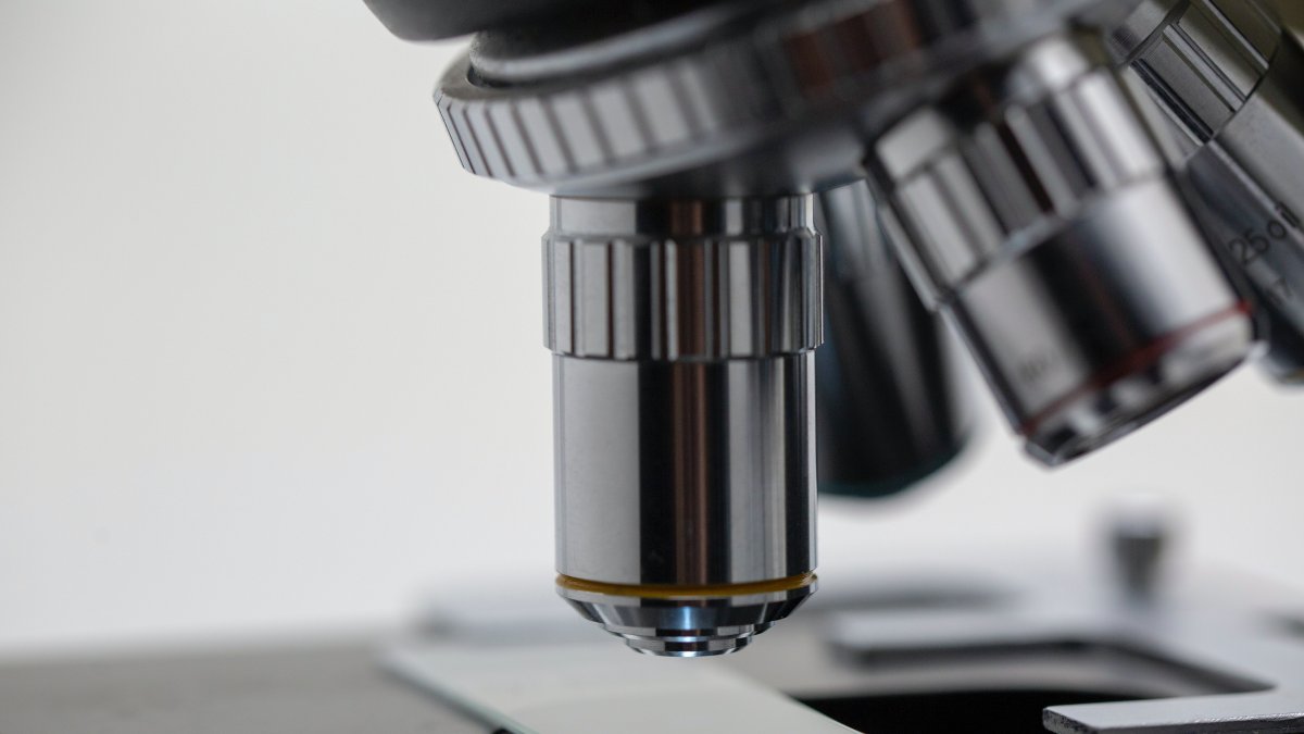 Referencial. La ciencia no se ha tomado un descanso a pesar de este 2020 pandémico.