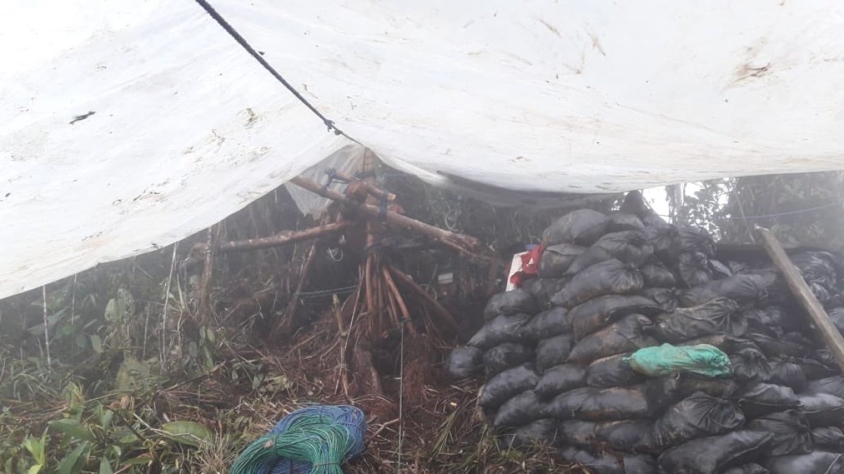 Acción. Militares patrullaban el sector las minas de Buenos Aires y ubicaron 800 sacos de material mineralizado.