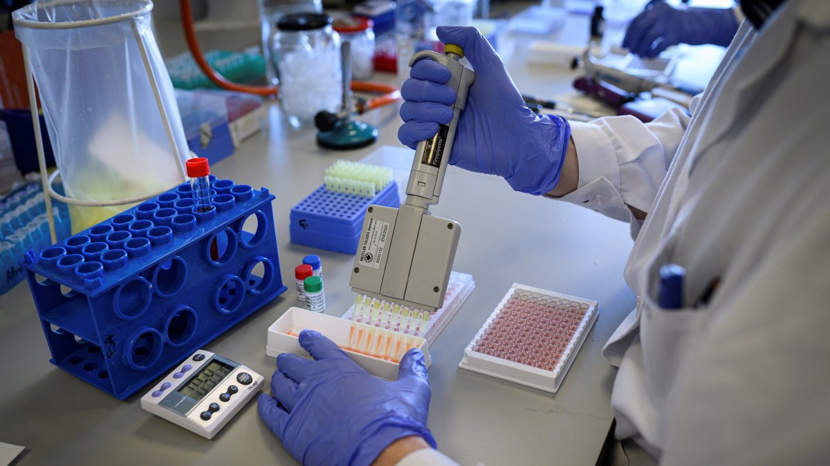 El director del Instituto de Investigación y Diabetes y Centro de Transplante Celular de la Universidad de Miami.