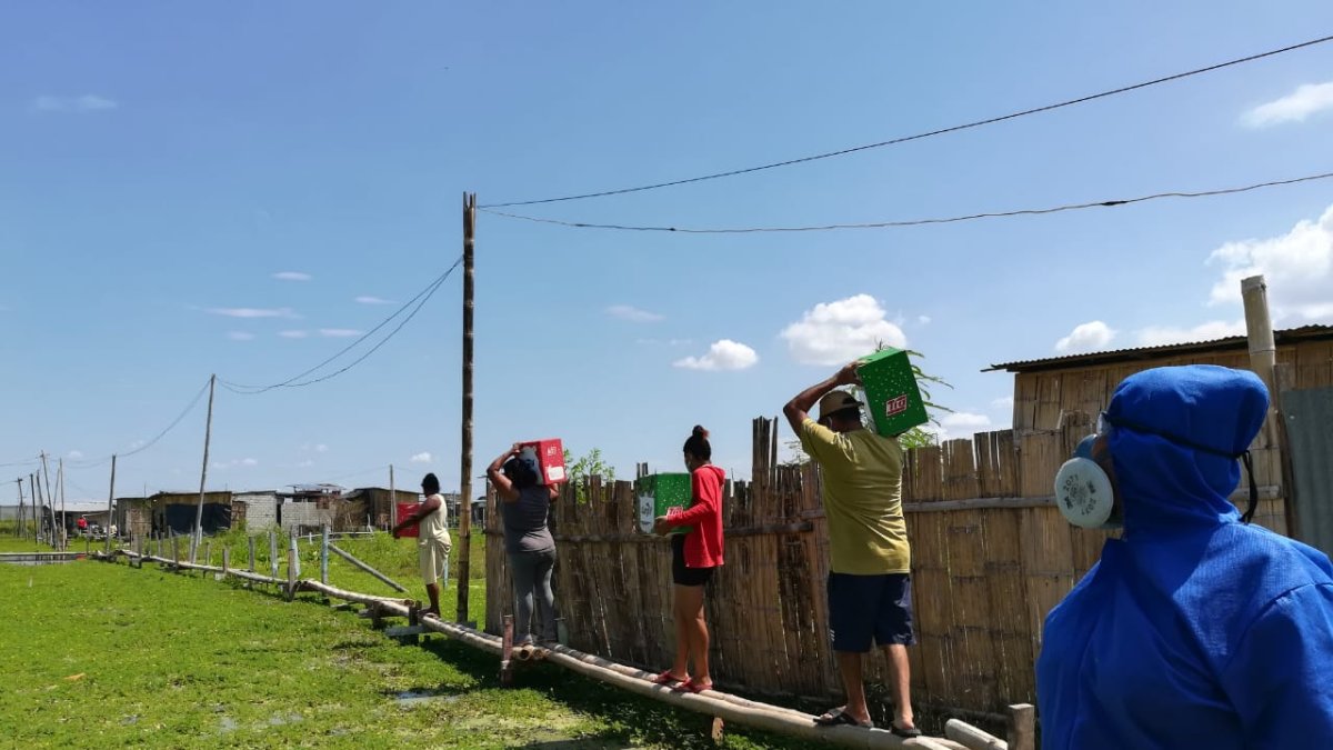 El Banco de Alimentos Dakonía repartiendo alimentos a la población vulnerable..
