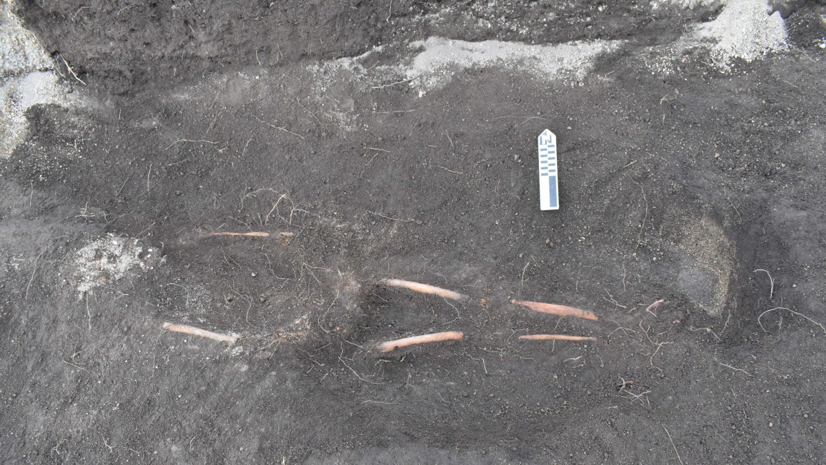 El hallazgo de doce osamentas en una 