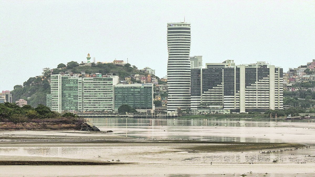 El islote Palmar es producto de la sedimentación. Tiene 16 hectáreas y tiene biodiversidad.