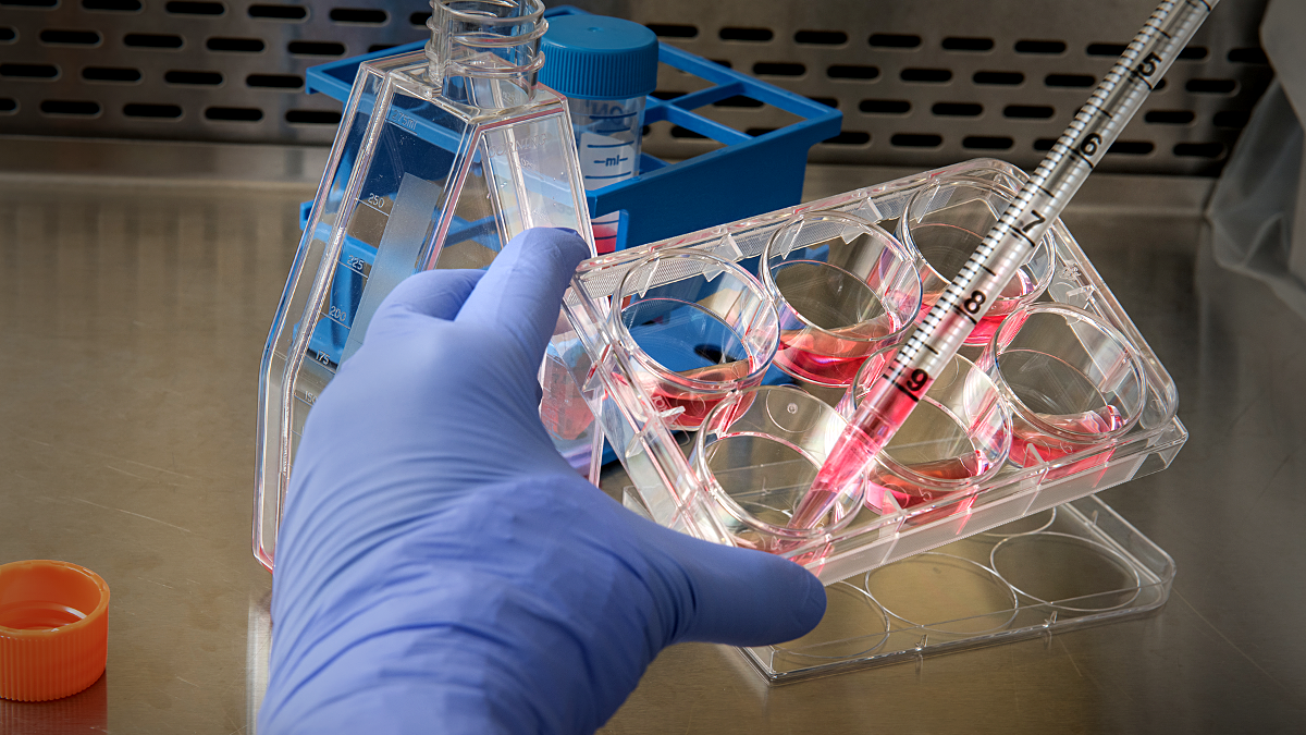 El presidente de Rusia, Vladímir Putin, presentó a mediados de diciembre en la rueda de prensa anual la vacuna «Sputnik Light».