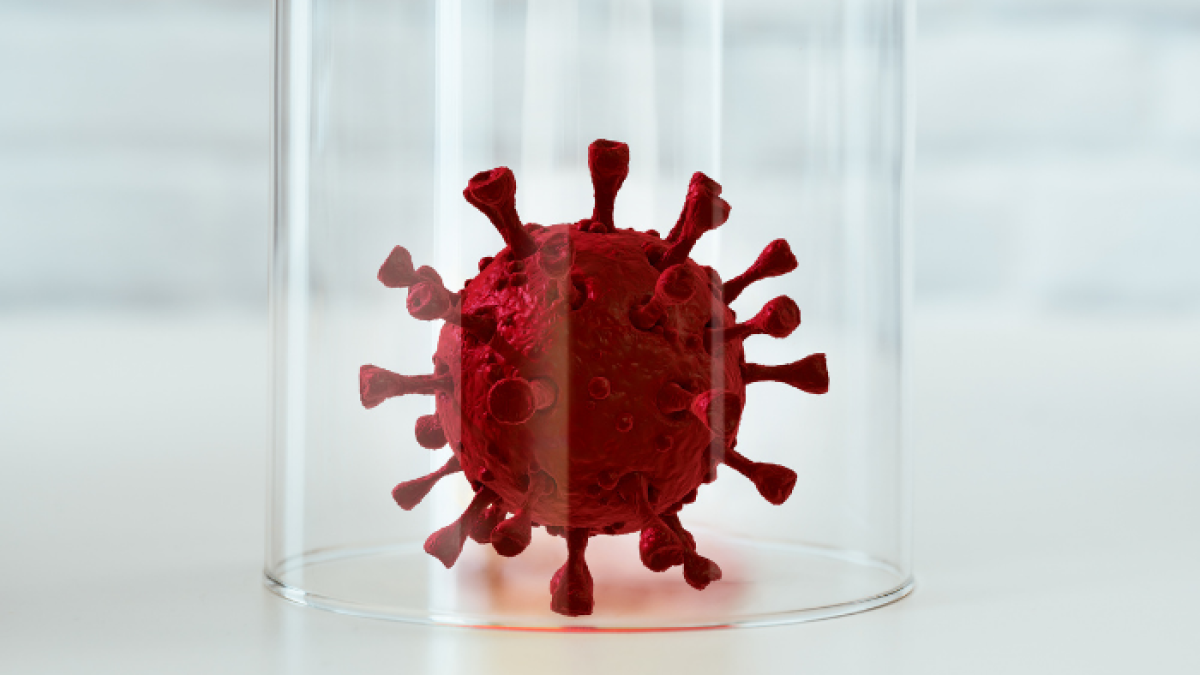 Con la aparición de la covid-19 se disparó la cantidad de desinformación.