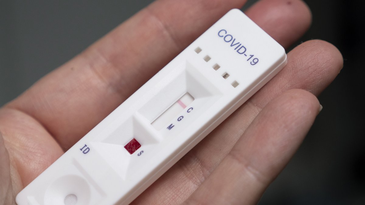 Solo los observadores internacionales y los veedores de organizaciones políticas deberán presentar una prueba de PCR con resultado negativo.