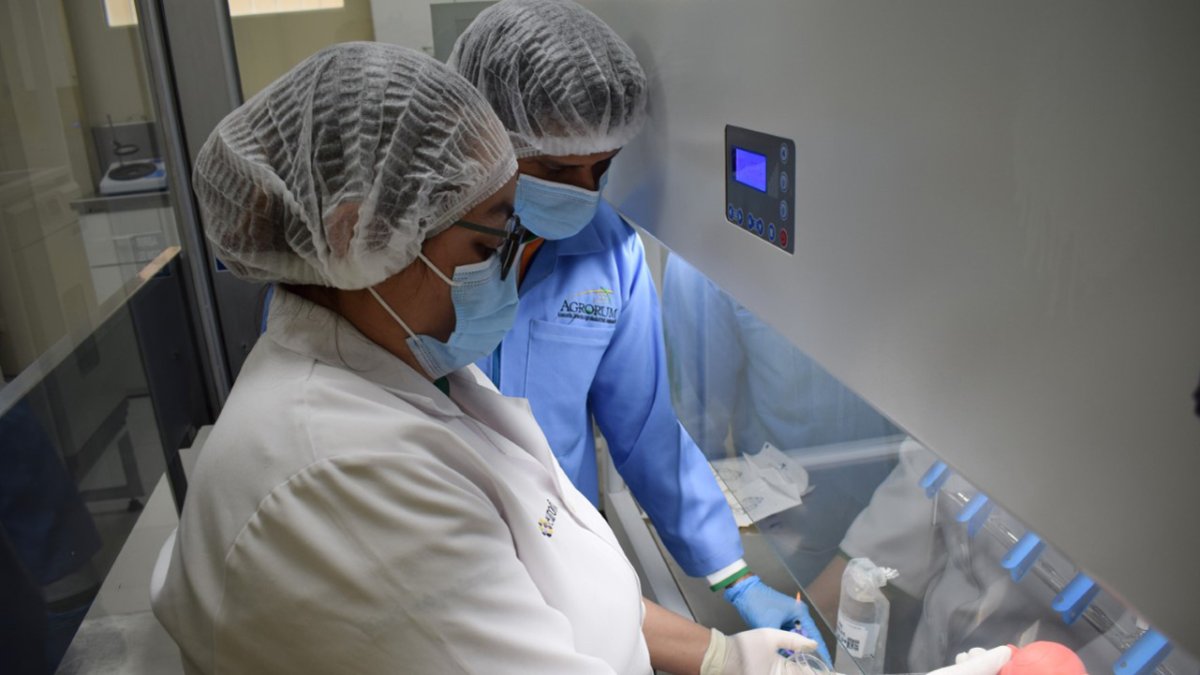 Los emprendimientos pueden ser en diferentes campos.