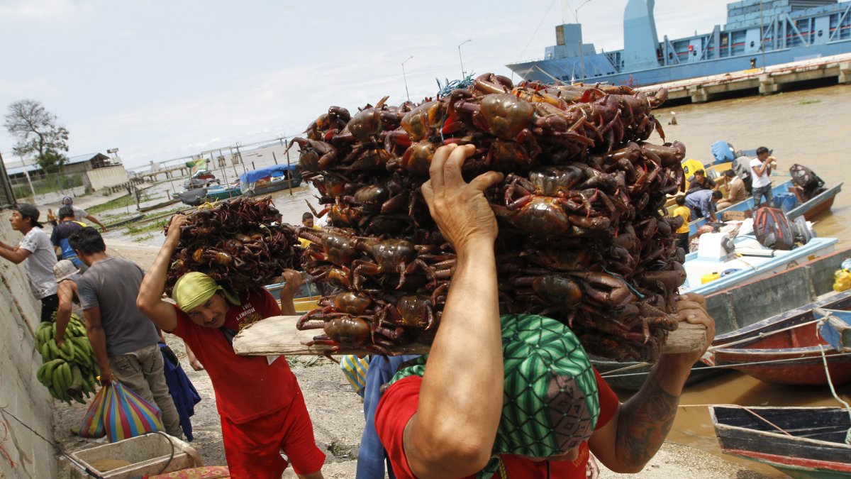 Vendedores de cangrejos