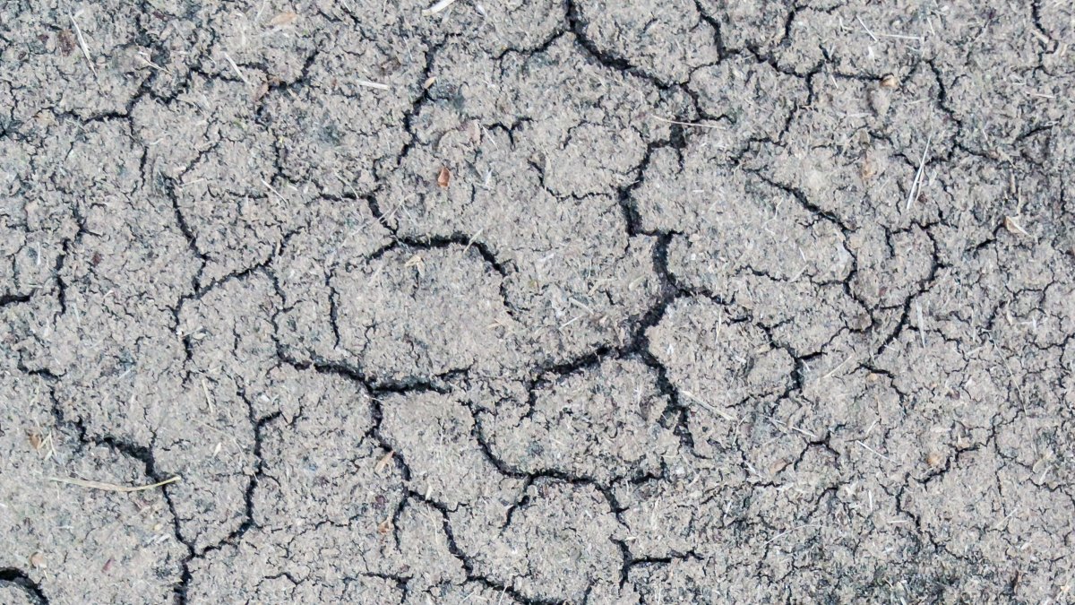 Al menos cinco sismo se han registrado en Esmeraldas.