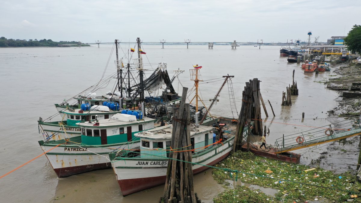 Las embarcaciones que el jueves 14 de enero de 2021 estuvieron a la deriva en el río Guayas.