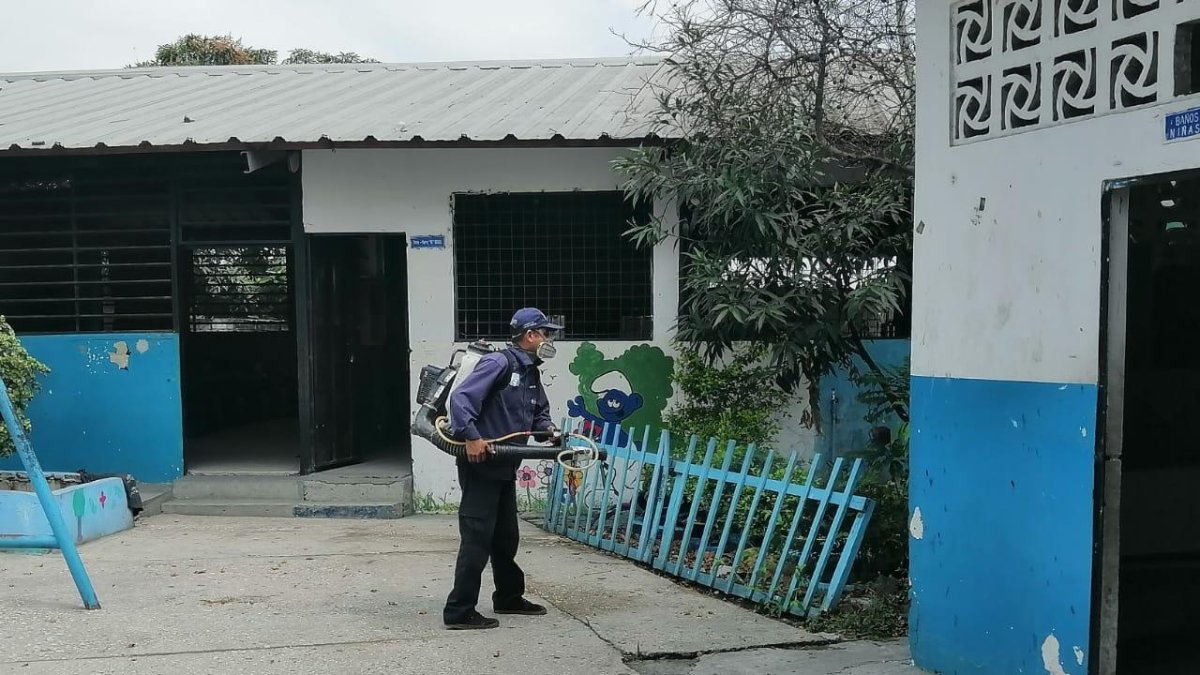 La tarea de fumigación se realiza en coordinación con el Ministerio de Salud.