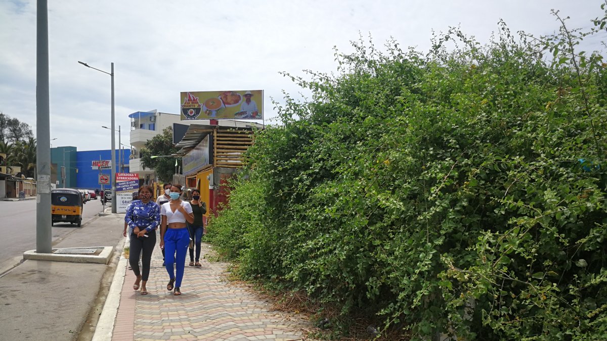 Maleza. En el centro del cantón Playas son decenas los solares que permanecen con maleza y basura. El problema se torna inseguro debido a la escasa iluminación de algunas calles y callejones.