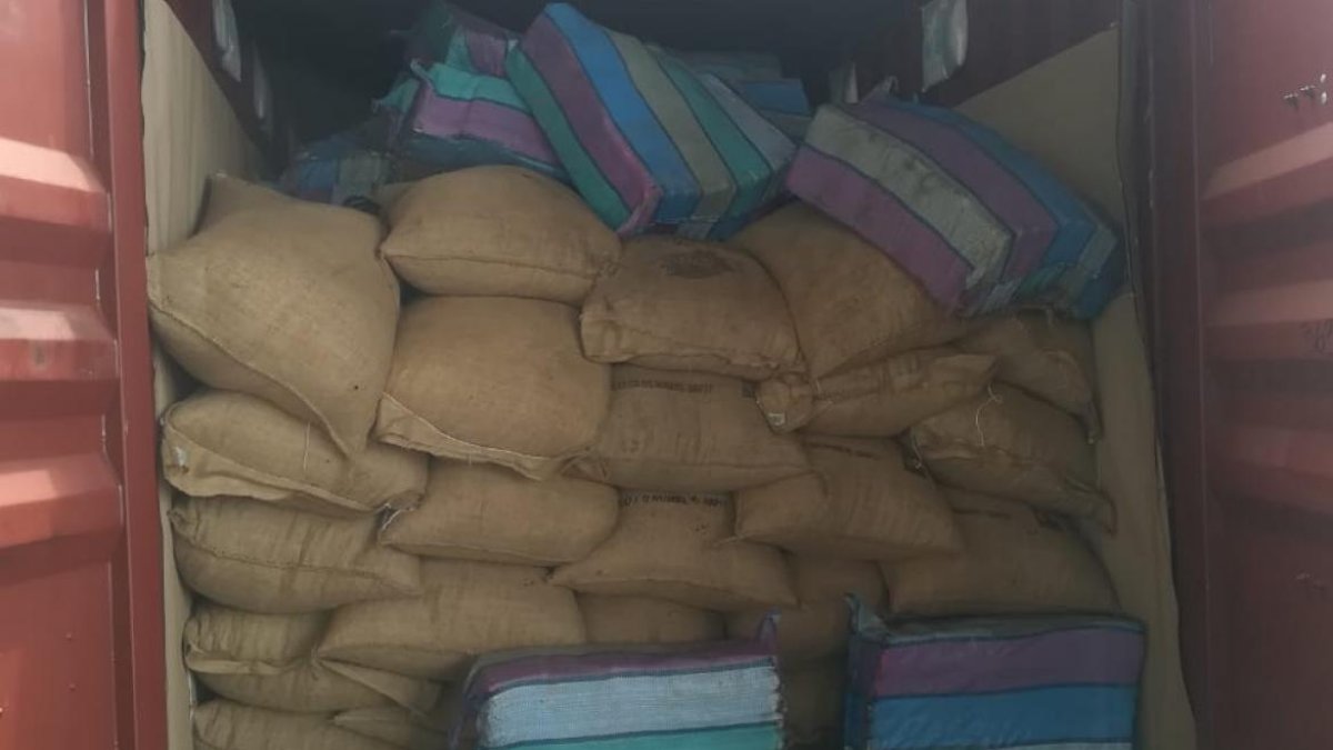 La incautación de 1.3 toneladas de cocaína hallada entre sacos de cacao, en un contenedor en el Puerto Marítimo, figura entre los golpes dados por la Policía a narcos y delincuentes en estos días.