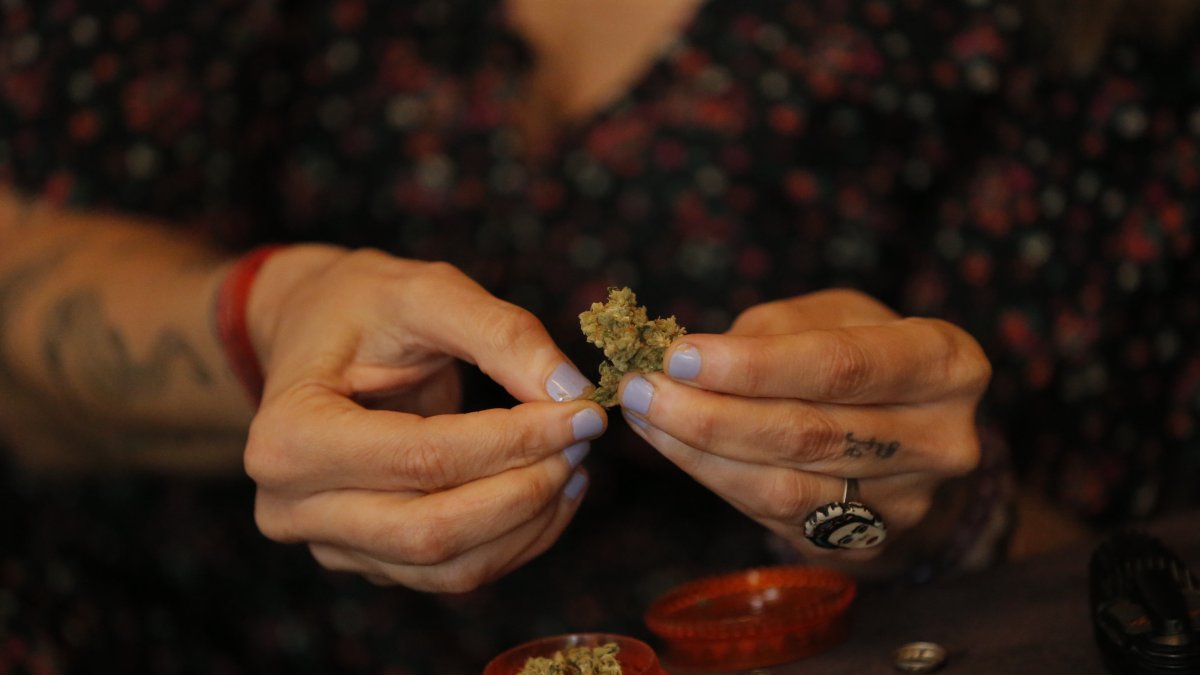 Fotografía fechada el 14 de diciembre de 2020 de la actriz, comunicadora y activista Francesca Brivio mientras enseña una muestra de cannabis durante una entrevista con Efe en Lima (Perú).