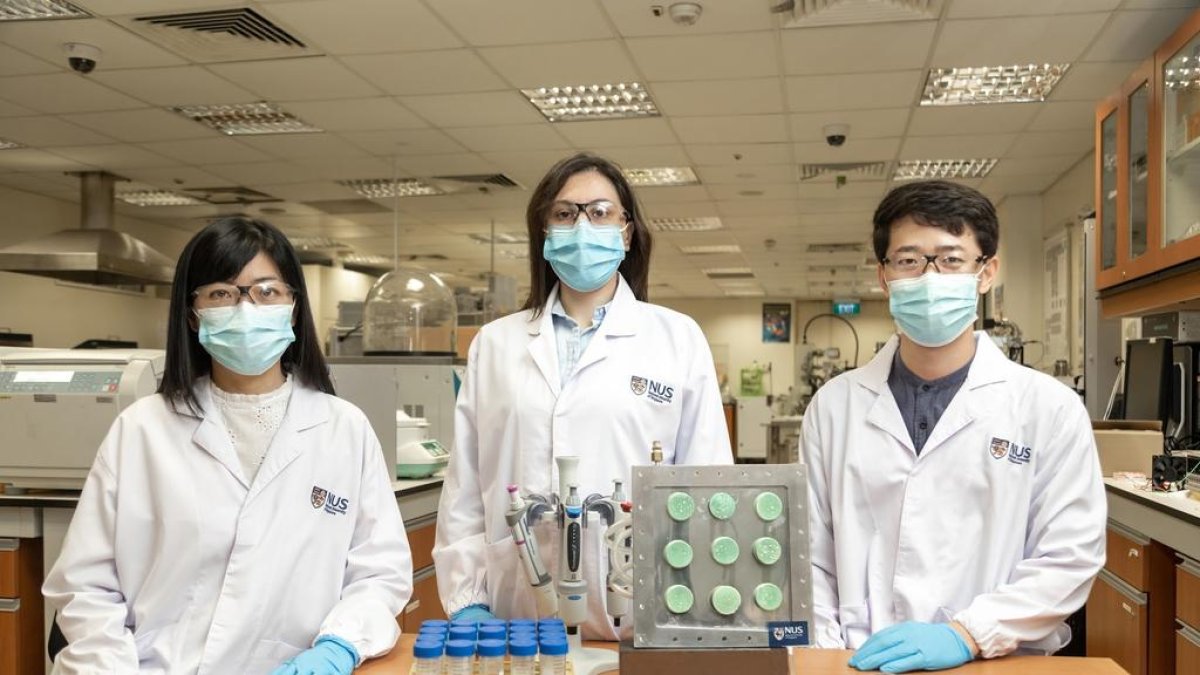 El aerogel productor de agua ha sido creado por un equipo de seis investigadores y dirigido por Ho Ghim Wei (izquierda). de la Universidad Nacional de Singapur.