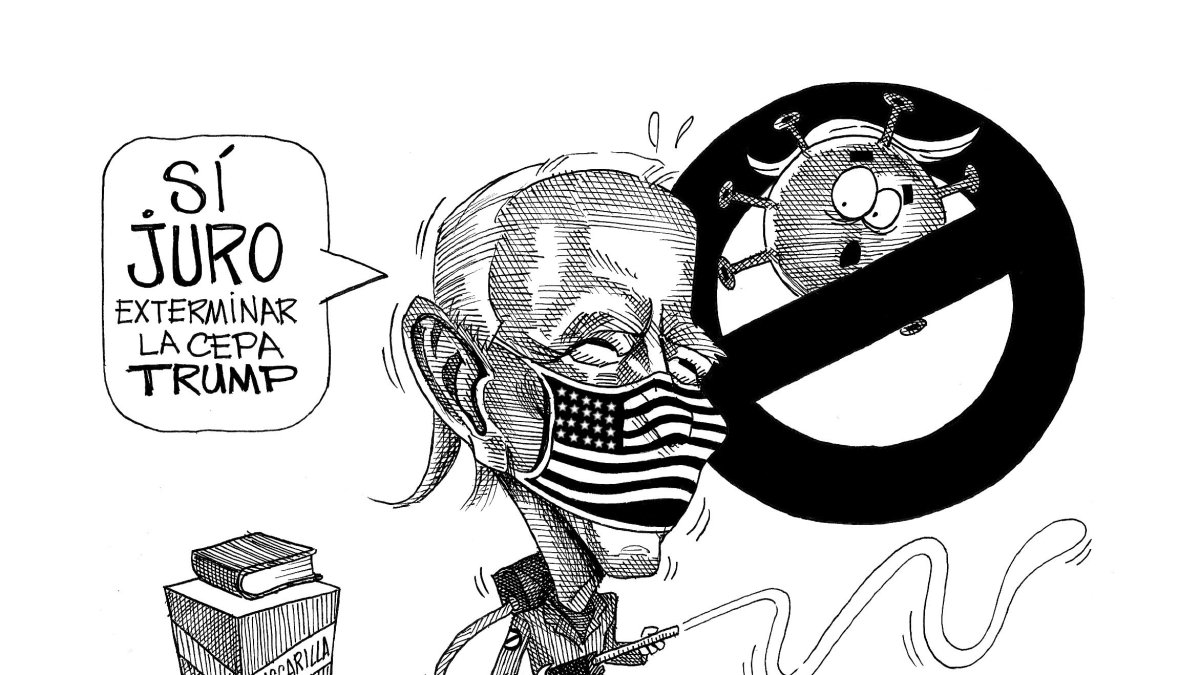 La primera tarea: destruir el virus.