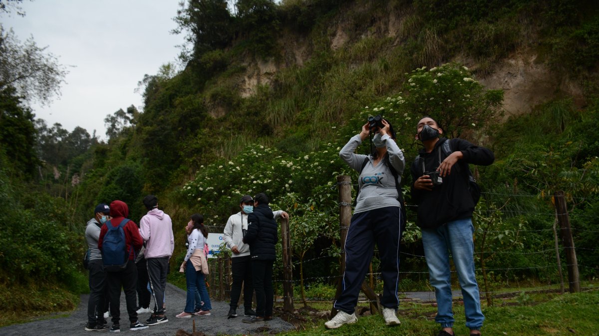 El fin de semana, un grupo de alumnos de la Unidad Educativa Larrea del sector, hicieron avistamiento de aves en la zona recuperada.