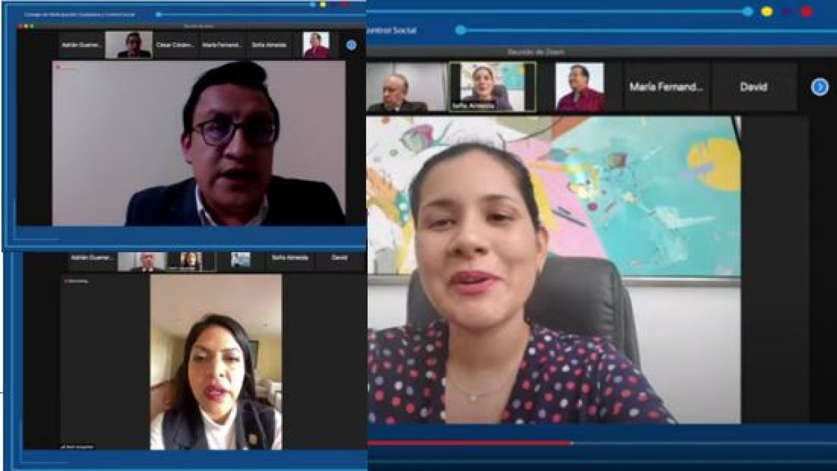 El pleno del Consejo de Participación se reunió este 26 de enero de 2021 y el tema de las vacunas fue abordado por los consejeros.