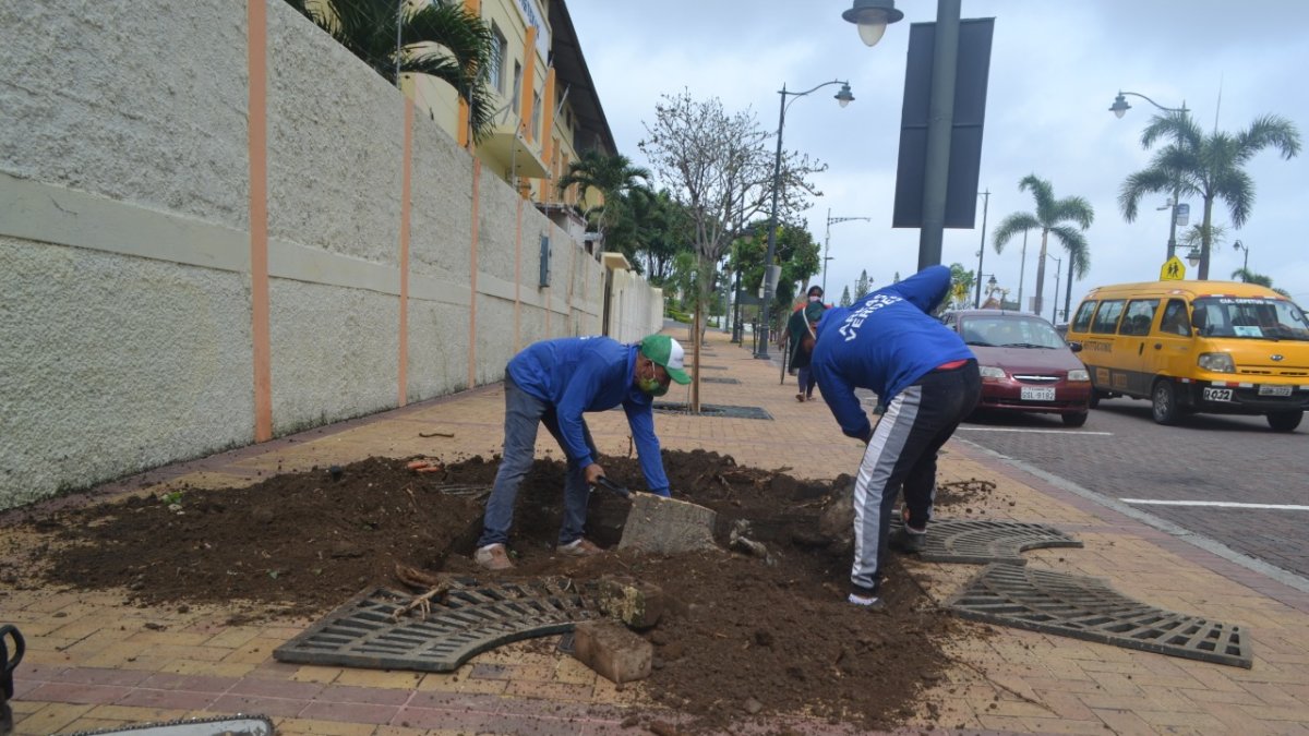 Las especias se sembraron esta semana en el lugar.