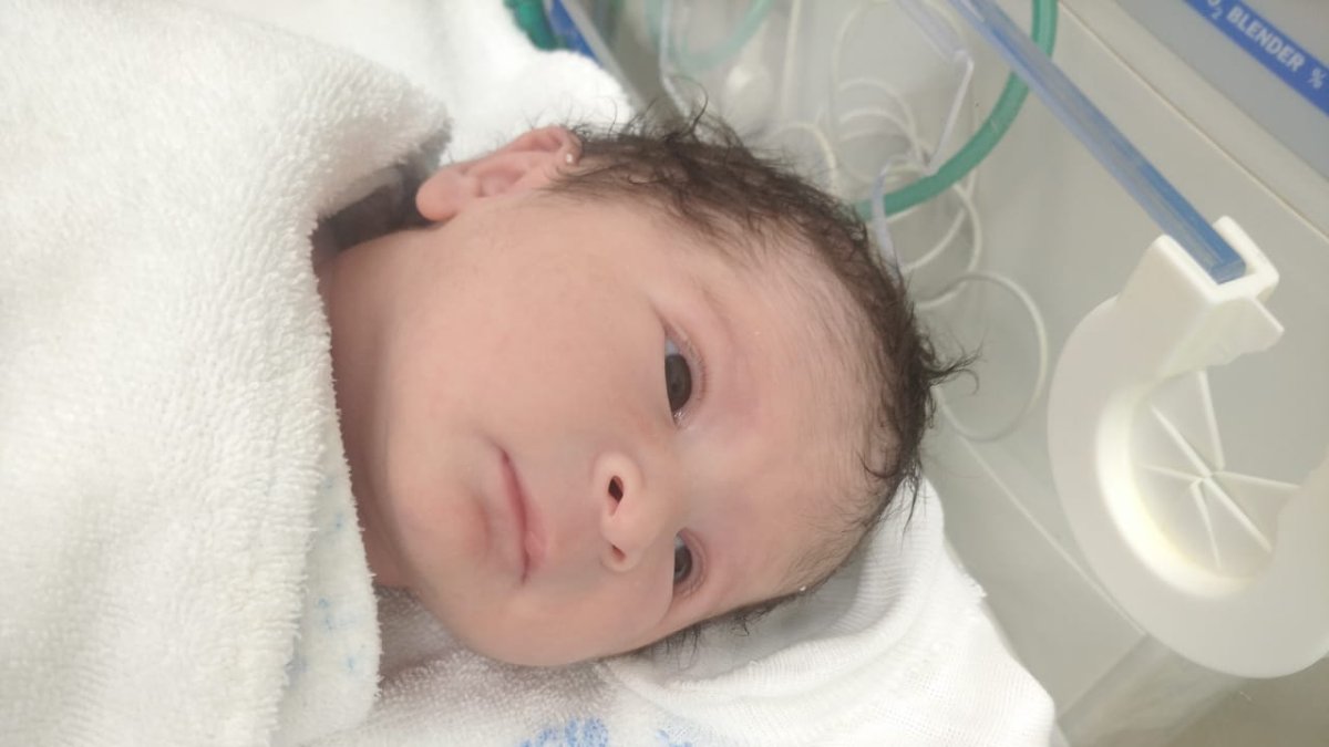 María José Macías Flores.