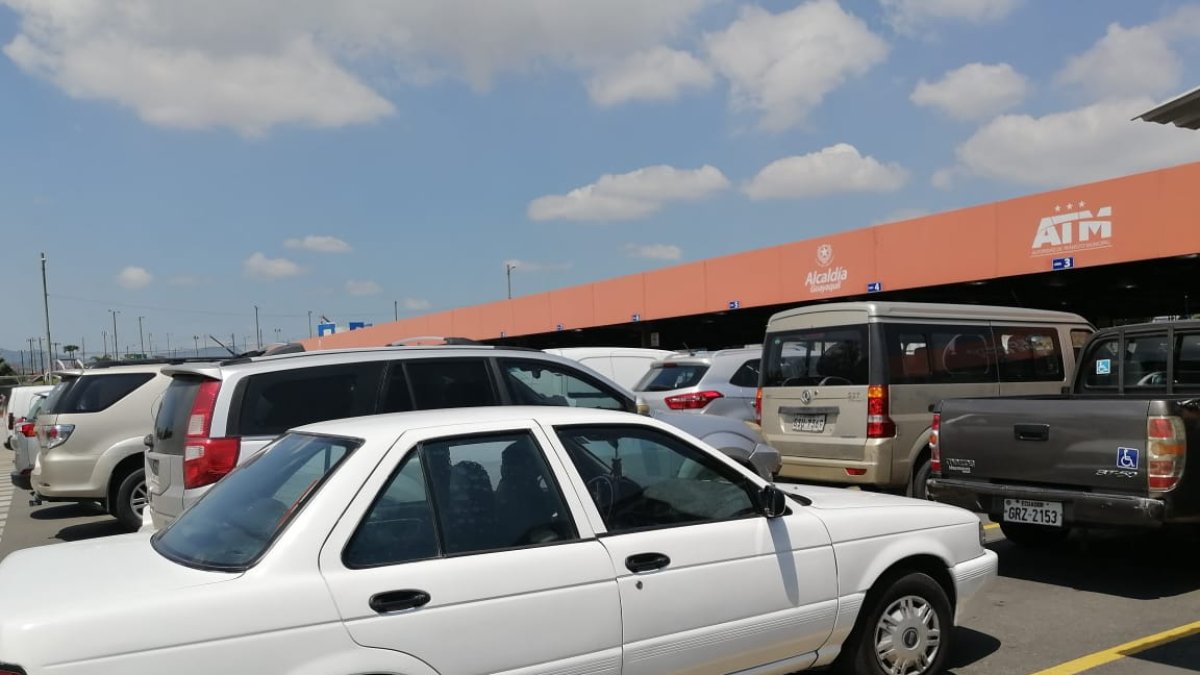 Decenas de carros acudieron hoy al lugar para hacer la revisión.