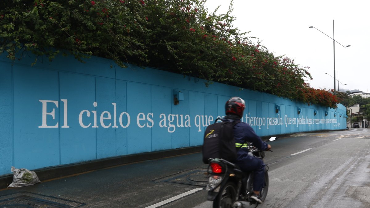 El mural. Es parte de la primera serie de un total de 50 que se pintarán en la ciudad.