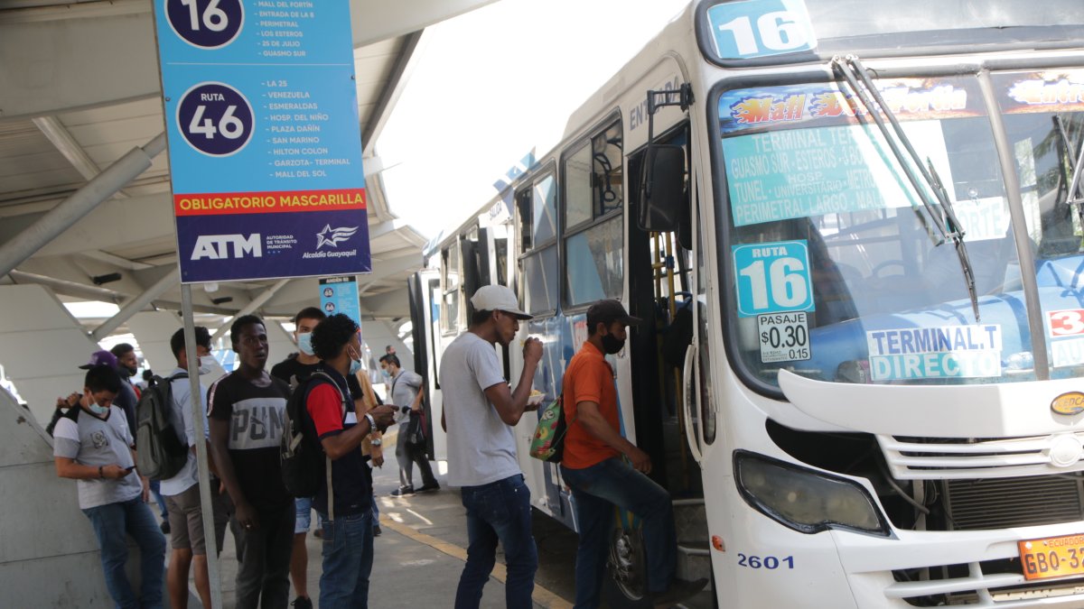 Urbe. En Guayaquil hay 2.700 buses que mueven al 80 % de ciudadanos.